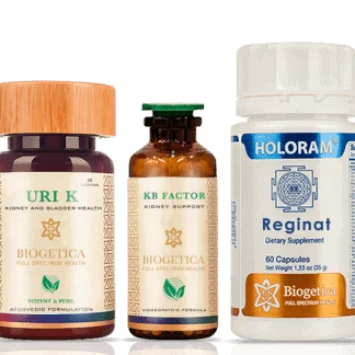 Doctor Recommended 4 Month Supply Full Spectrum Renal support kit with Reishi and Punarnava