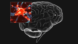 Biogetica Freedom Kit With B Factor – 40 Days