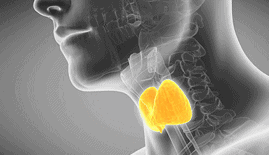 Biogetica Freedom Kit With B Factor – 40 Days