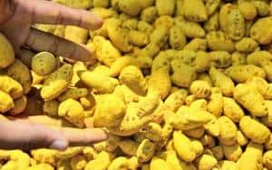 Turmeric & Curcumin: Discover 11 Verified Health Advantages