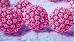 Ayurvedic Approach to HPV: Natural Infection Solutions
